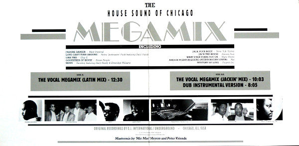 Various : The House Sound Of Chicago Megamix (The Dance-House-Power-Remix) (12", Mixed)