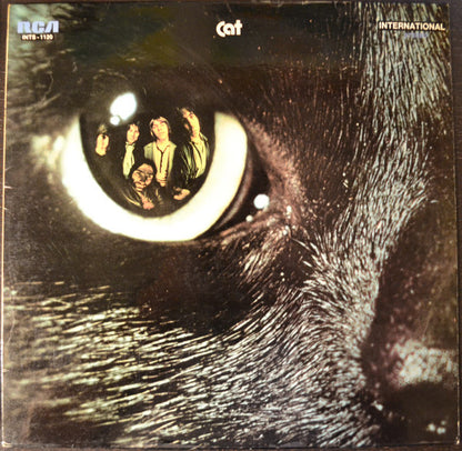 Cat (13) : A New Kind Of Cat (LP)