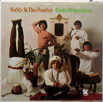 Teddy & The Pandas : Basic Magnetism (LP, Album)