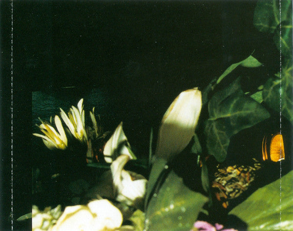 Swan Lee : Enter (CD, Album)