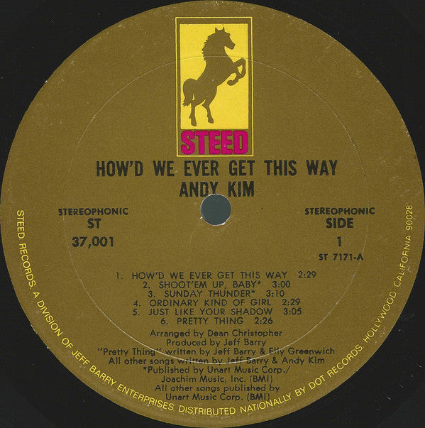 Andy Kim : How'd We Ever Get This Way (LP, Album, Mon)