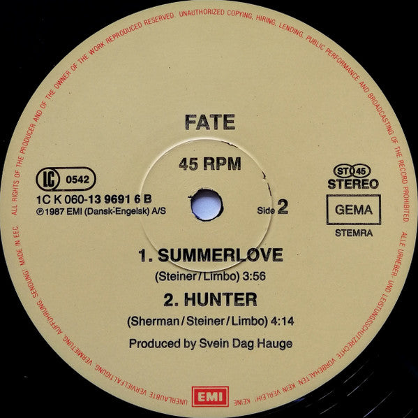 Fate (5) : Summerlove (Maxi-Remix) (12", Maxi)