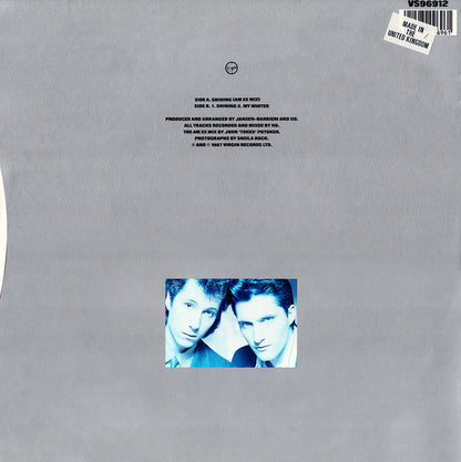 The Dolphin Brothers : Shining (Am Ex Mix) (12", Single)