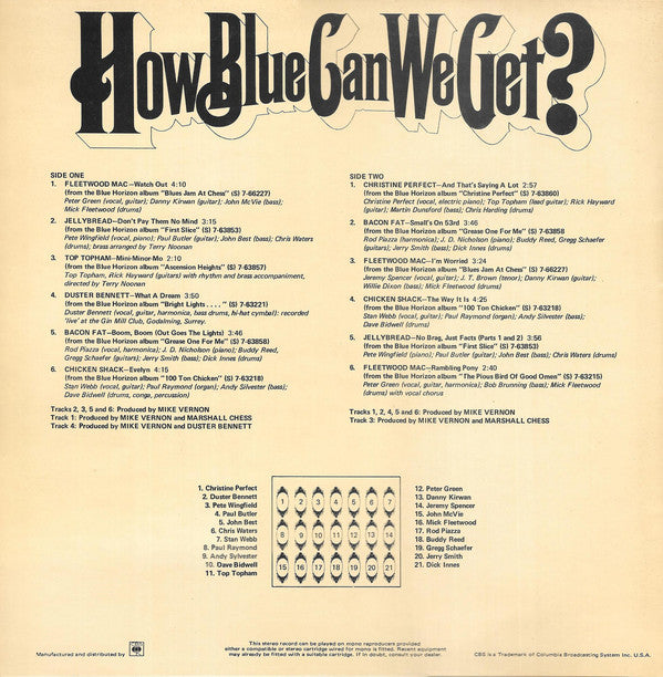 Various : How Blue Can We Get? (2xLP, Comp)