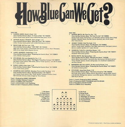 Various : How Blue Can We Get? (2xLP, Comp)