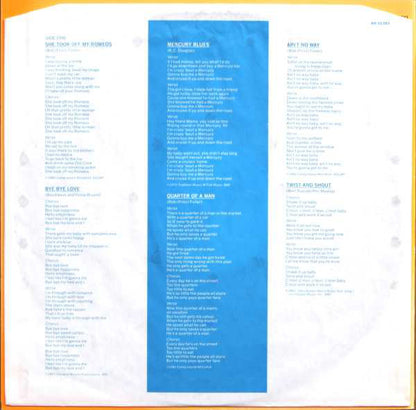 David Lindley : El Rayo-X (LP, Album)