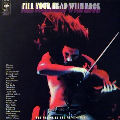 Various : Fill Your Head With Rock (2xLP, Smplr)