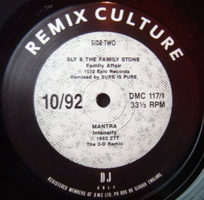 Various : Remix Culture 10/92 (12")