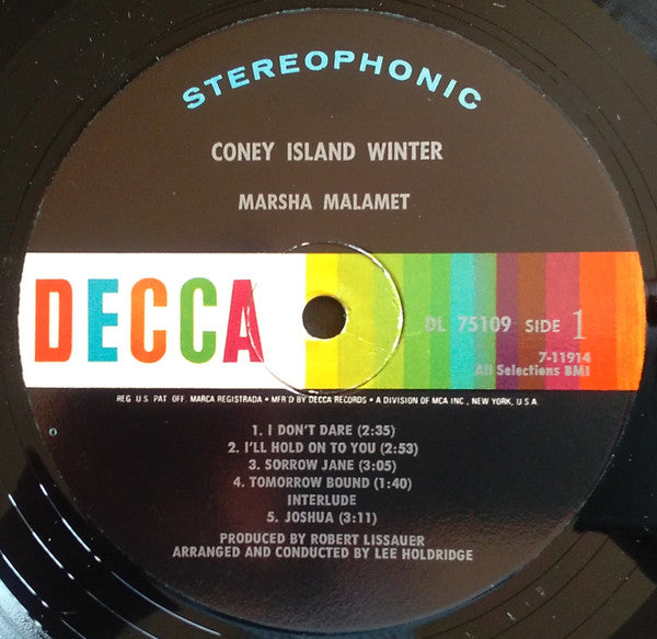 Marsha Malamet : Coney Island Winter (LP, Ste)