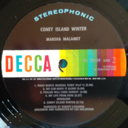 Marsha Malamet : Coney Island Winter (LP, Ste)