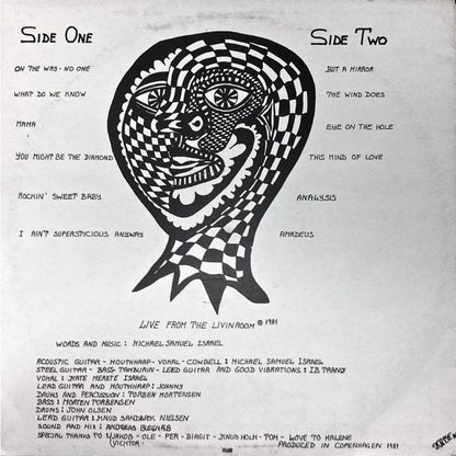 Michael Samuel Israel : Big Brown Bear. Way Out Hotel. Live From The Livingroom (LP)