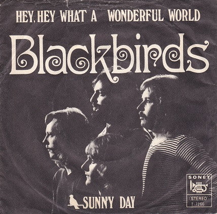 Blackbirds (4) : Hey, Hey, What A Wonderful World (7", Single)