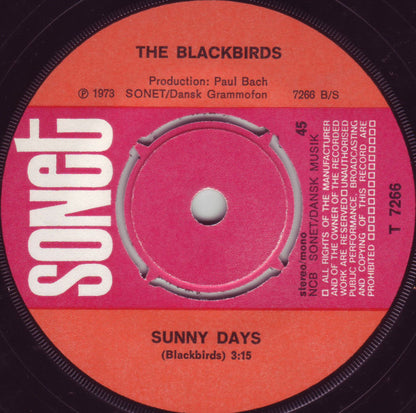 Blackbirds (4) : Hey, Hey, What A Wonderful World (7", Single)