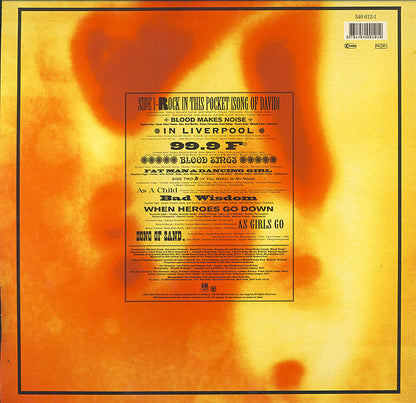 Suzanne Vega : 99.9F° (LP, Album)