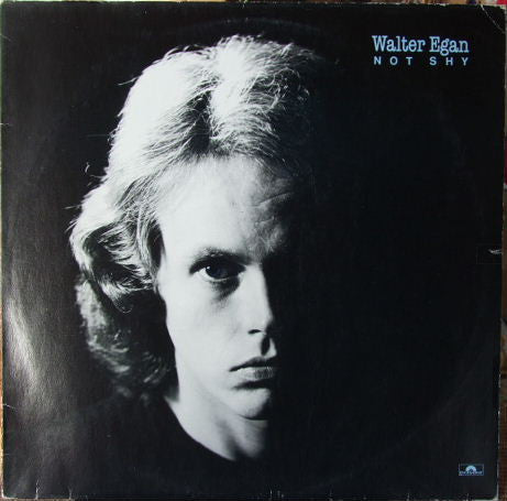 Walter Egan : Not Shy (LP, Album)