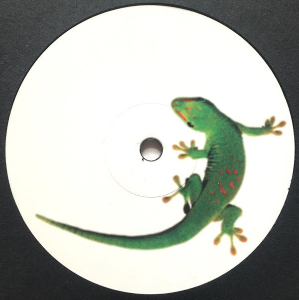 Jonas Frederiksen : Toekomstje (LP, Ltd)