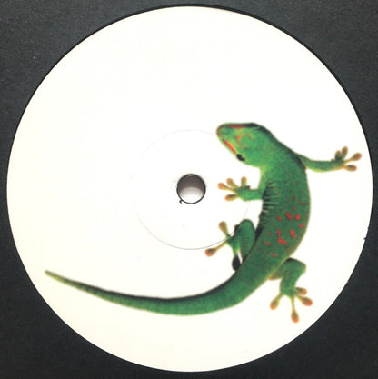 Jonas Frederiksen : Toekomstje (LP, Ltd)