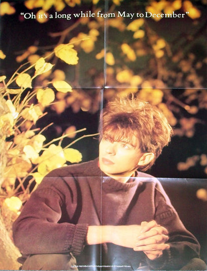 Ian McCulloch : September Song (12", Dam)