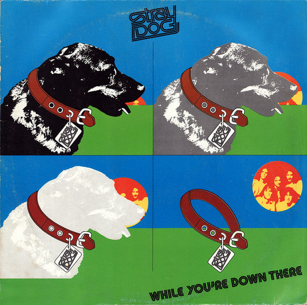 Stray Dog (3) : While You're Down There (LP, Album)