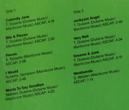 Stray Dog (3) : While You're Down There (LP, Album)