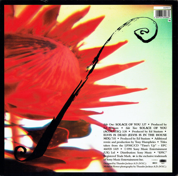 Living Colour : Solace Of You (12", Single)