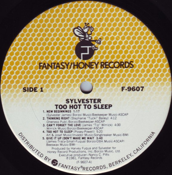 Sylvester : Too Hot To Sleep (LP, Album)