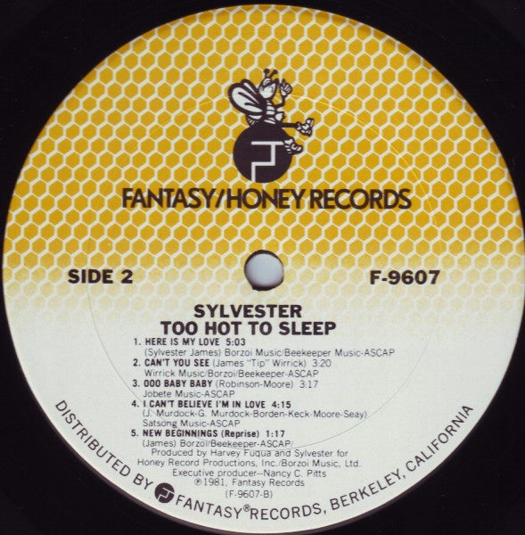 Sylvester : Too Hot To Sleep (LP, Album)