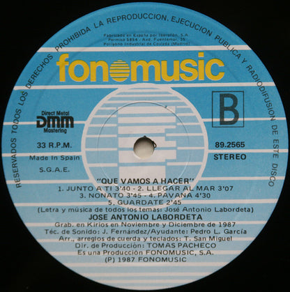 José Antonio Labordeta : Que Vamos A Hacer... (LP, Album)