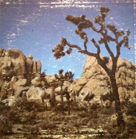 David Chalmers (5) : Looking For Water (LP)