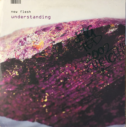 New Flesh : Understanding (2xLP, Album)