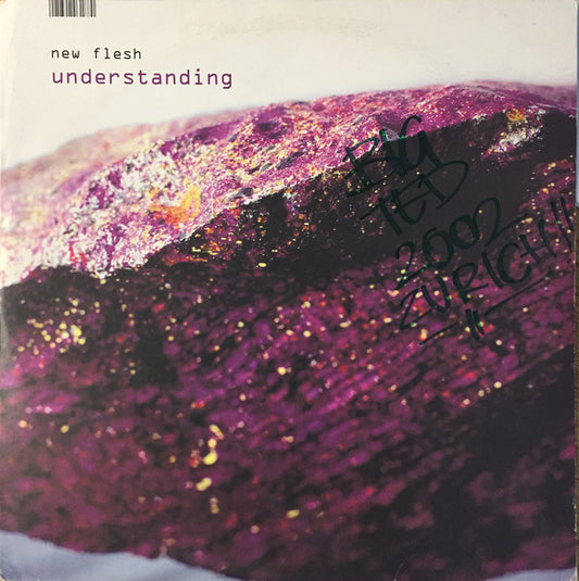 New Flesh : Understanding (2xLP, Album)