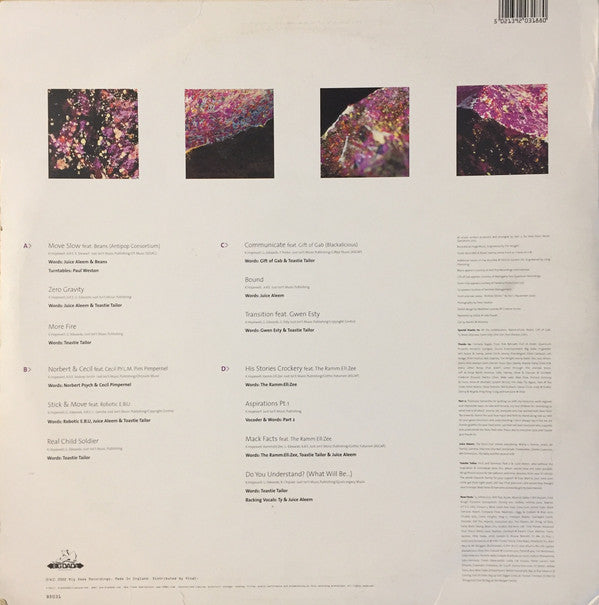 New Flesh : Understanding (2xLP, Album)