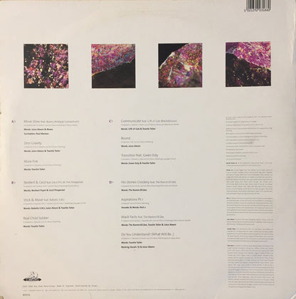 New Flesh : Understanding (2xLP, Album)