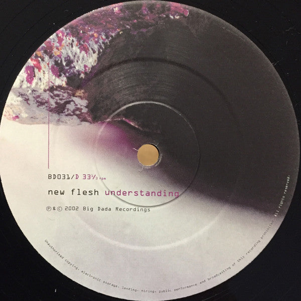 New Flesh : Understanding (2xLP, Album)