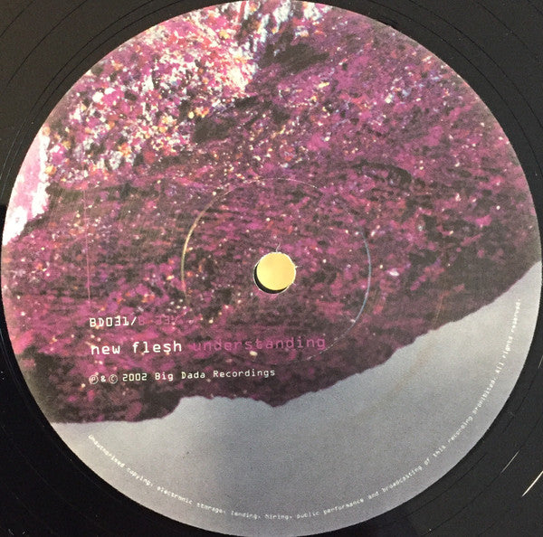 New Flesh : Understanding (2xLP, Album)