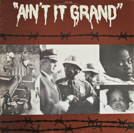 Eric Bibb : Ain't It Grand (LP, Album)