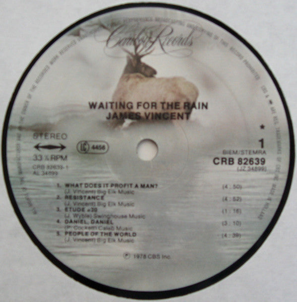 James Vincent : Waiting For The Rain (LP, Album)