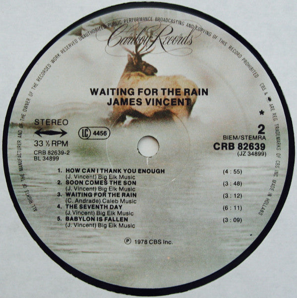 James Vincent : Waiting For The Rain (LP, Album)