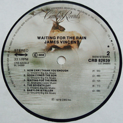 James Vincent : Waiting For The Rain (LP, Album)
