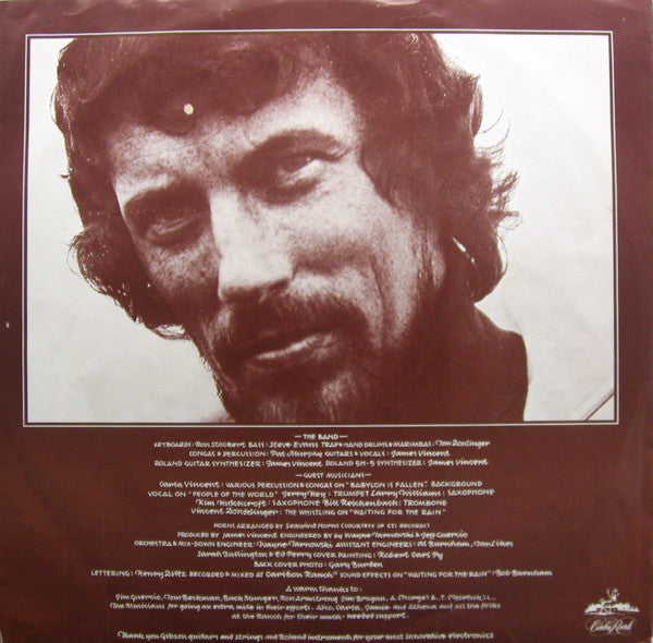 James Vincent : Waiting For The Rain (LP, Album)