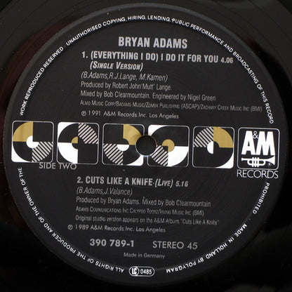 Bryan Adams : (Everything I Do) I Do It For You (12", Maxi)