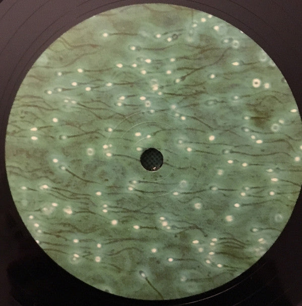 F. E. Denning : Cities Of Light (LP)