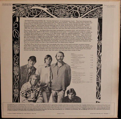 The Beach Boys : The Beach Boys (LP, Comp)