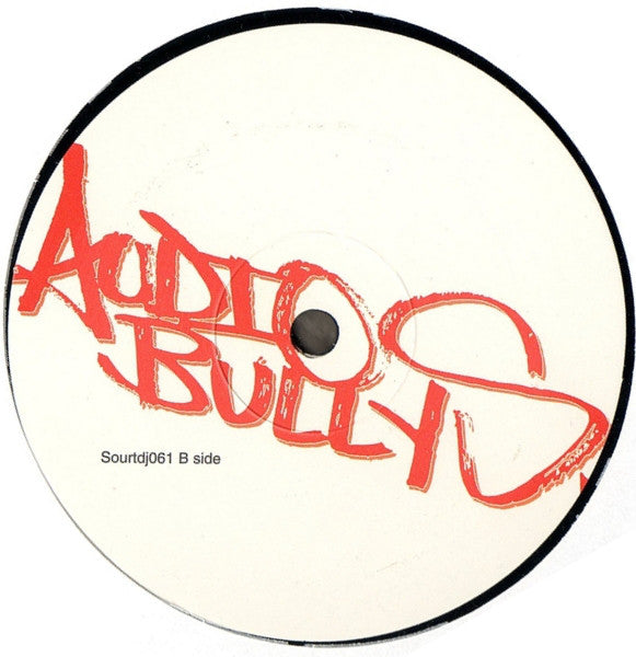 Audio Bullys : We Don't Care (12", Promo)