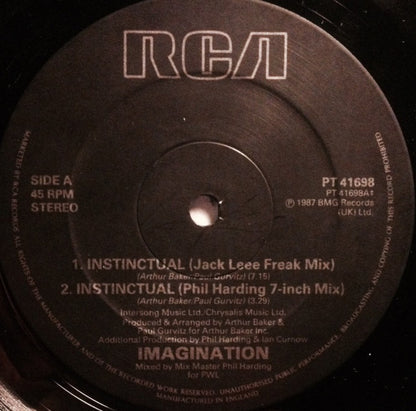 Imagination : Instinctual (12")