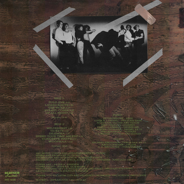 Picnic : Barking Up The Wrong Tree (LP, Album)