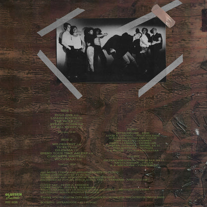 Picnic : Barking Up The Wrong Tree (LP, Album)