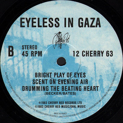 Eyeless In Gaza : New Risen (12")