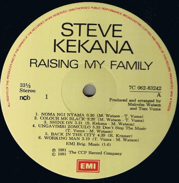 Steve Kekana : Raising My Family (LP, Album)