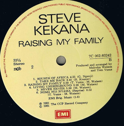 Steve Kekana : Raising My Family (LP, Album)